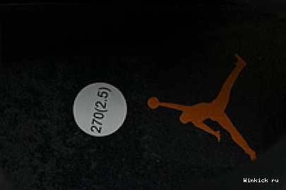 Jordan 3 “Fear” Air 0707